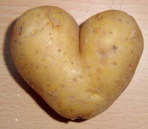 potato-love1